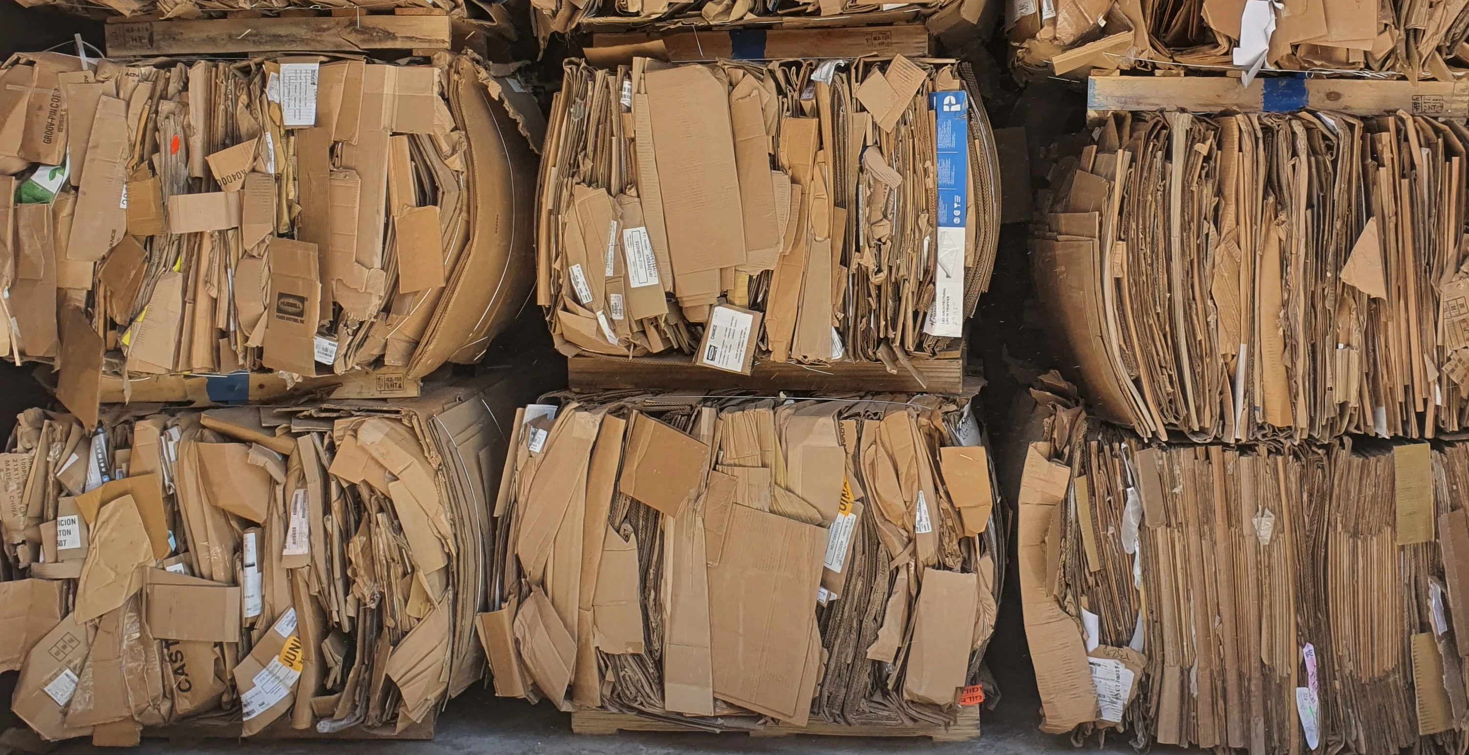 Carton 
