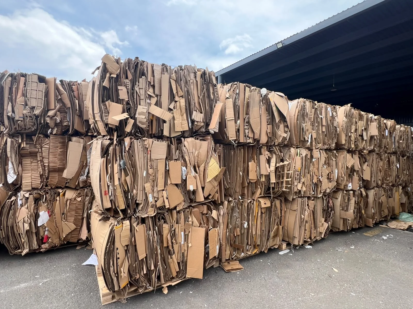 Carton 